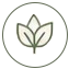 TYLO - Plant Powered