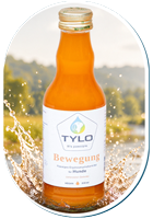 TYLO MOVE – For an Active Dog’s Life – Day After Day